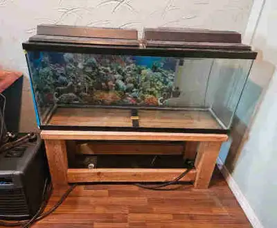 Large aquarium tank with stand and Arctica 1/10hp water chiller, View more