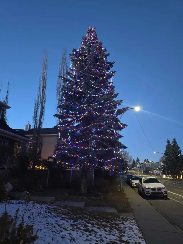Christmas Light Installers Wanted in General Labour in Calgary - Image 3