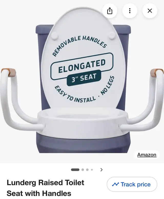 Lunderg Elongated Raised Toilet Seat with Handles