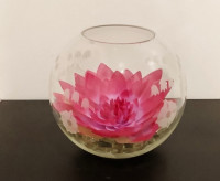 Arrangement fleur de Lotus dans un vase en verre transparent  av