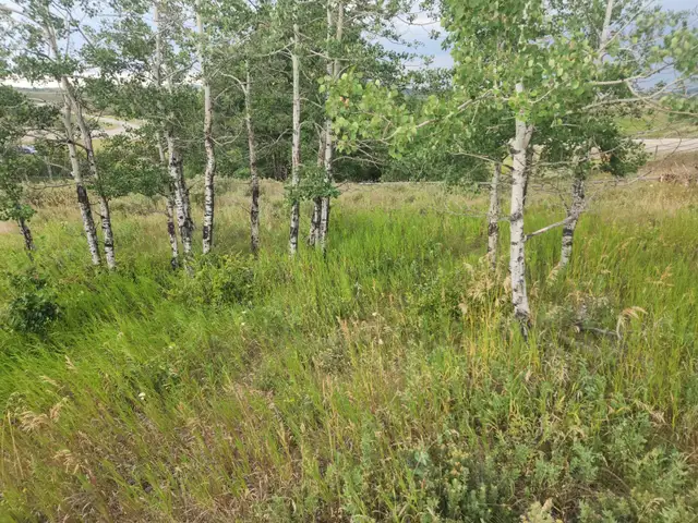 Cottage Club Lot in Ghost Lake in Land for Sale in Calgary - Image 10