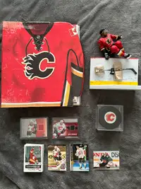Calgary Flames lot