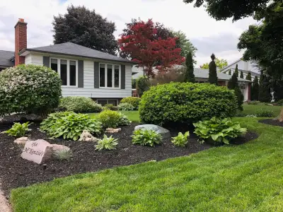 10+ YEARS OF EXPERIENCE and you still will not find a beatable price! We specialize in... Interlocki...