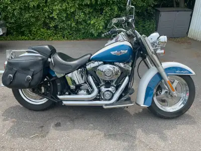 2005 softlail deluxe. Stage 1 flash with Vance and Hines short shots. Was bought from classy chassis...
