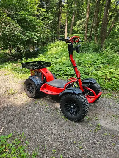 Lytehorse electric atv stand up or sit down has new battery we used for hunting works perfect comes...