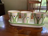Set of planters / pots and tray