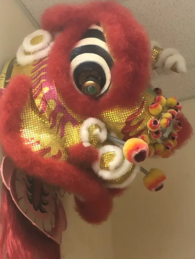 Chinese lion head for lion dance in Arts & Collectibles in Delta/Surrey/Langley - Image 6