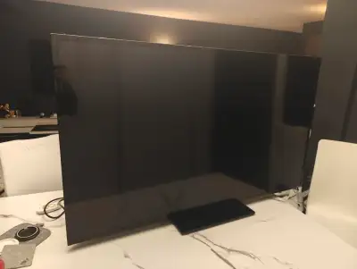 Vizio 55 inch Smart TV, View more