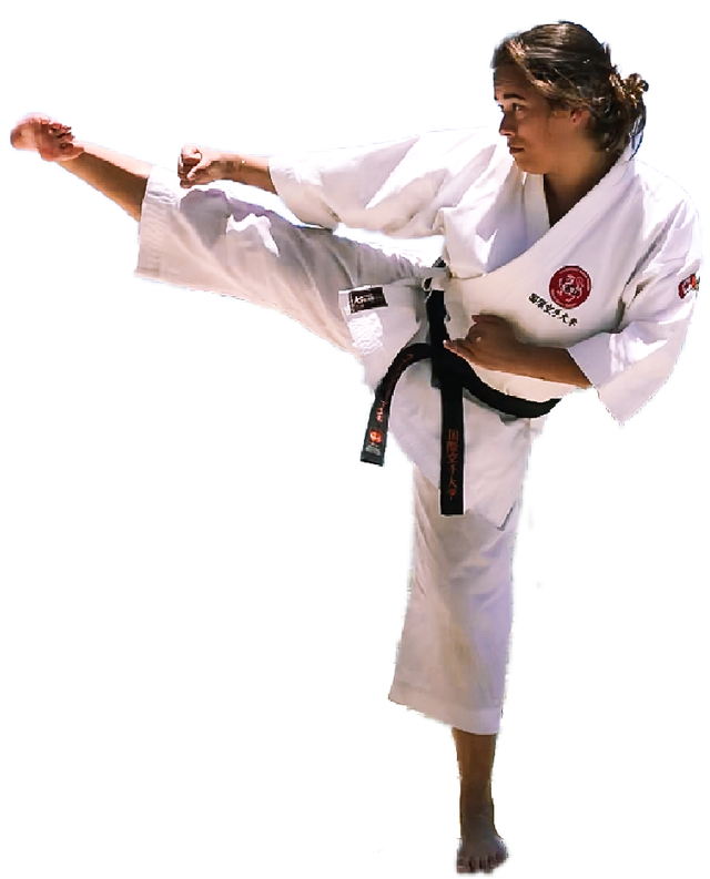 Traditional Karate - Starting Fall 2026461889954320240643
