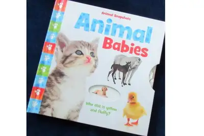 Animal Snapshots… ANIMAL BABIES…, View more
