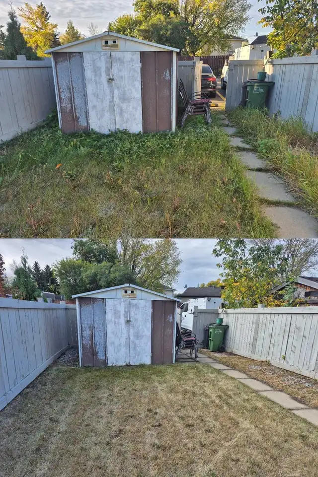 Sod installation460148142360514563