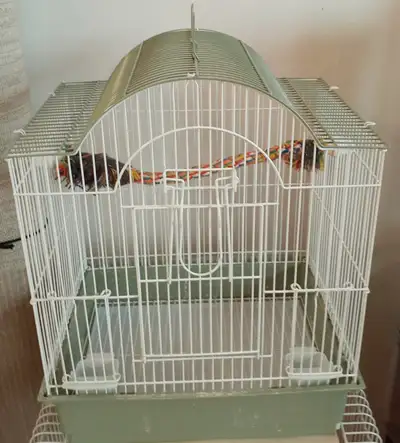Bird cage for $30, View more