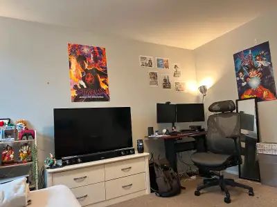 Private room lease/sublet