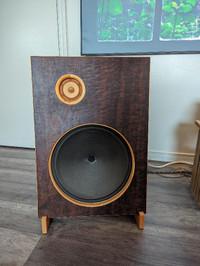 Open Baffle HiFi Project Speakers For Enthusiast Foster FE103