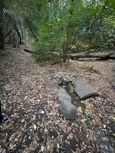 Pokadot Maid Service Inc. is hiring ! We are looking to expand our team with positive people, people...