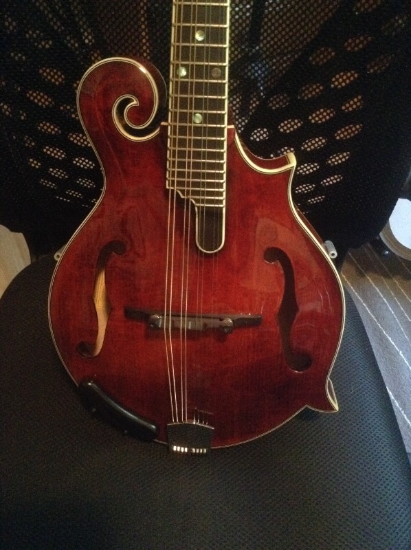 2023 Eastman MD815 Mandolin String Kingston Kijiji