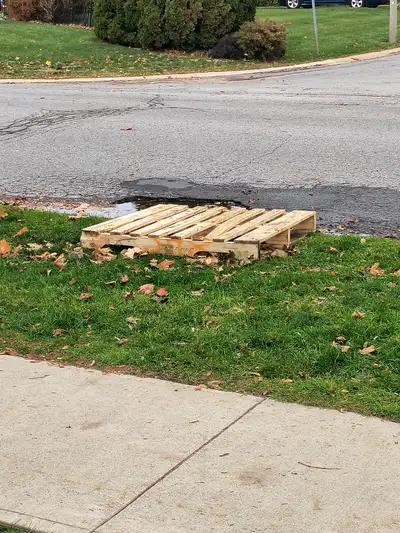 Free skid, View more