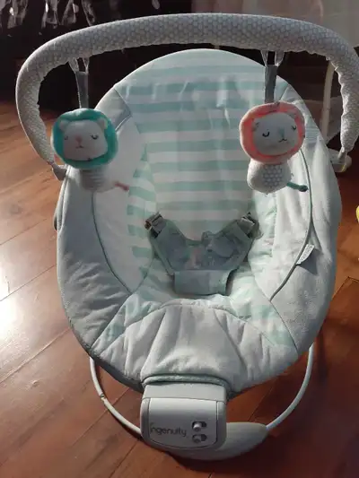 Bouncy Chair, View more