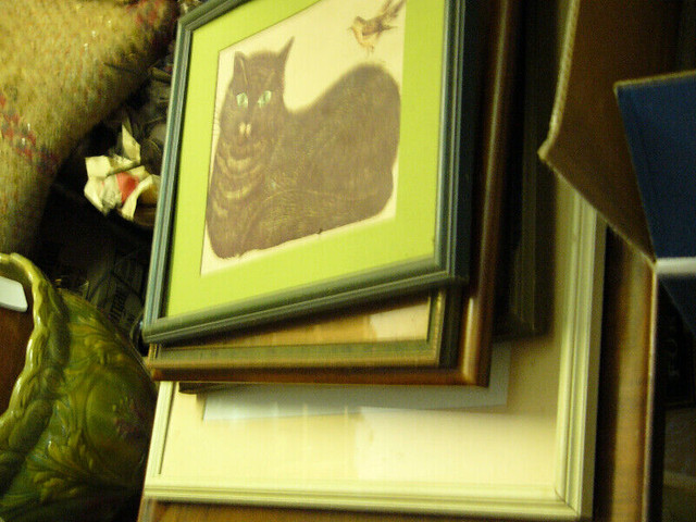 Cat Picture in Arts & Collectibles in Markham / York Region