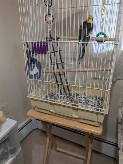 Bird cage cleaner, View more