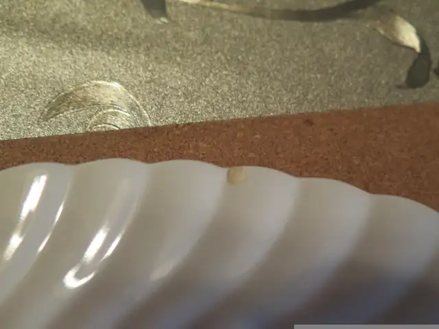 PLATTERS64329993922819123