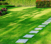 Reliable Landscaping/maintenance 