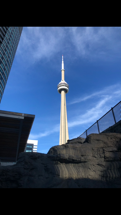 1+1 bed, 775 sq, pool, weight room, gym, bbq garden, beside Rogers Centre, $2400. GEM