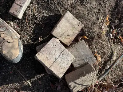 Free cement pavers.   60 pieces    Grey. Salmon color, View more