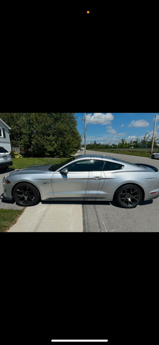 2019 mustang gt pp2 in Cars & Trucks in Barrie