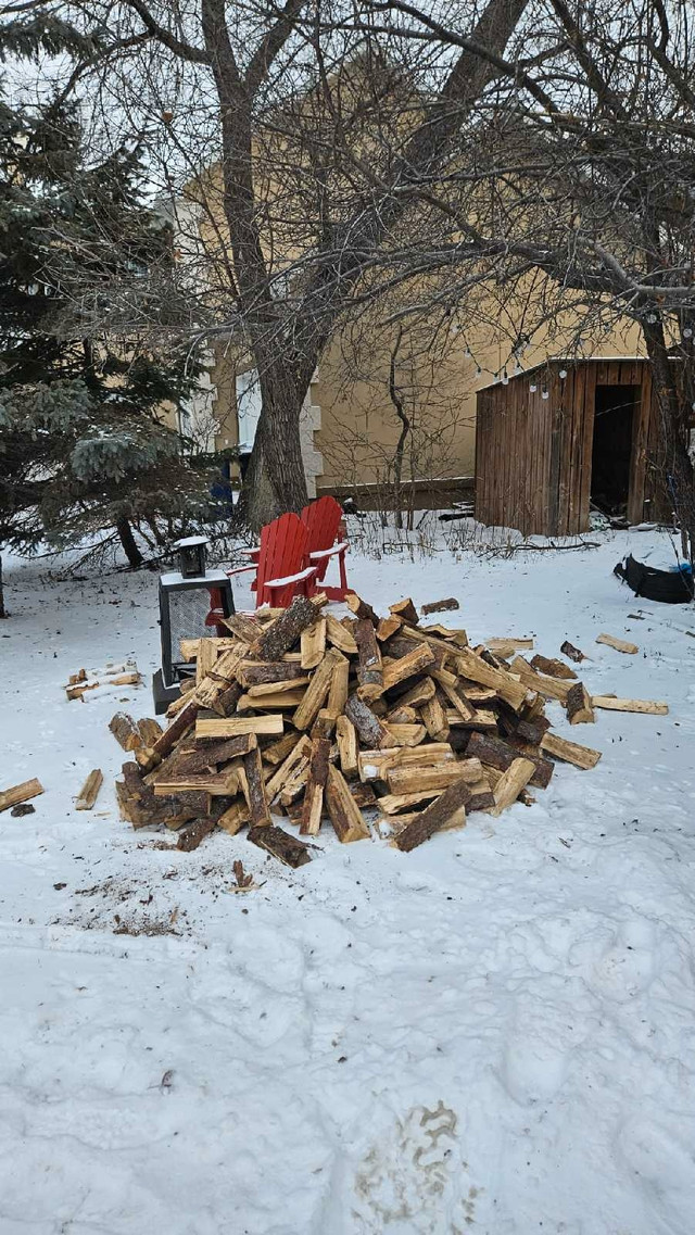 Firewood for sale/ Tamarack  in Fireplace & Firewood in Winnipeg