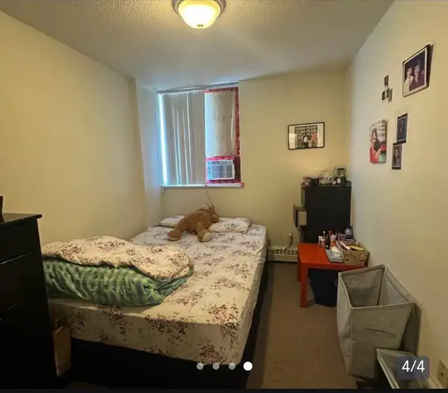 Room For Rent In Mississauga  in Room Rentals & Roommates in Mississauga / Peel Region - Image 2