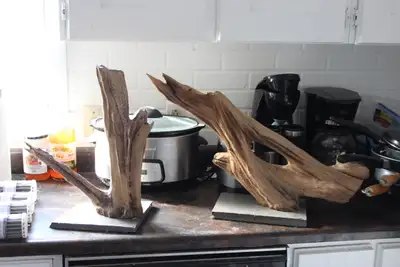 2x Large Pieces of Driftwood, View more