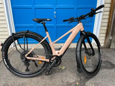 assistance électrique velo electrique a vendre kijiji