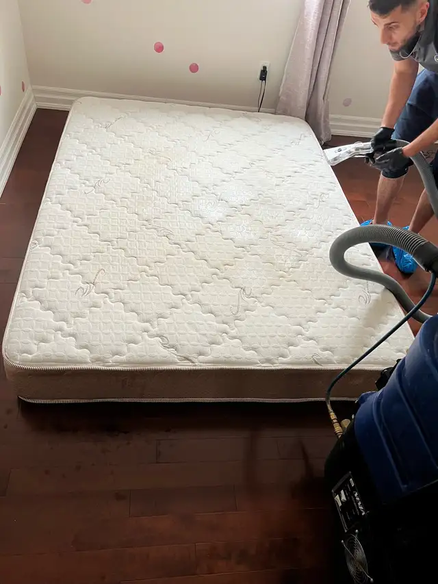 Carpet and couches and mattresses cleaning 63793687254913124