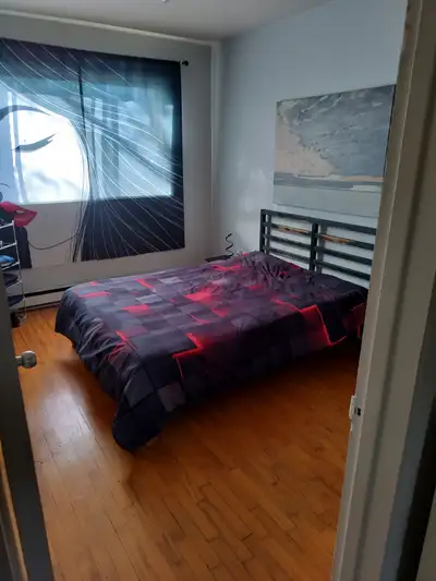 Grande chambre a louer ds un 3 demie meubles tout inclus même internet app ce trouve coin rue Mercie...