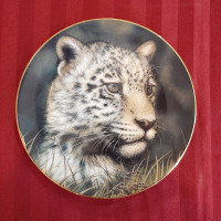 Cougar Cub 8" Collectible Plate