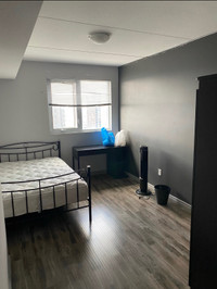 Waterloo Apartment for Rent