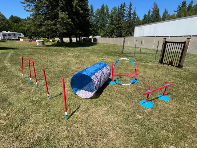 Kit entraînement pour chiens in Accessories in Lanaudière - Image 2