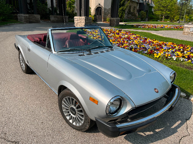 1981 Fiat Spider in Classic Cars in City of Toronto - Image 4