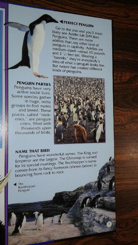 NEW-Penguins Photo-Fact Collection by Jane Resnick-HardcoverBook in Non-fiction in Oshawa / Durham Region - Image 4