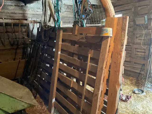 Livestock & Fence Posts in Other in Saskatoon - Image 5