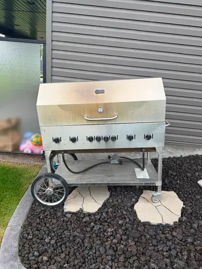I have a commercial high end BBQ that we no longer use. All six burners work, holds and regulates he...