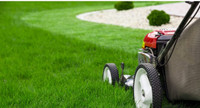 Lawn Mowing - $50.00