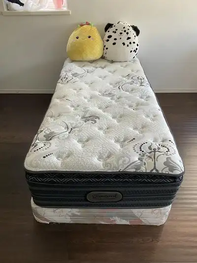 Extra Long Twin / Single BED can DELIVER, View more