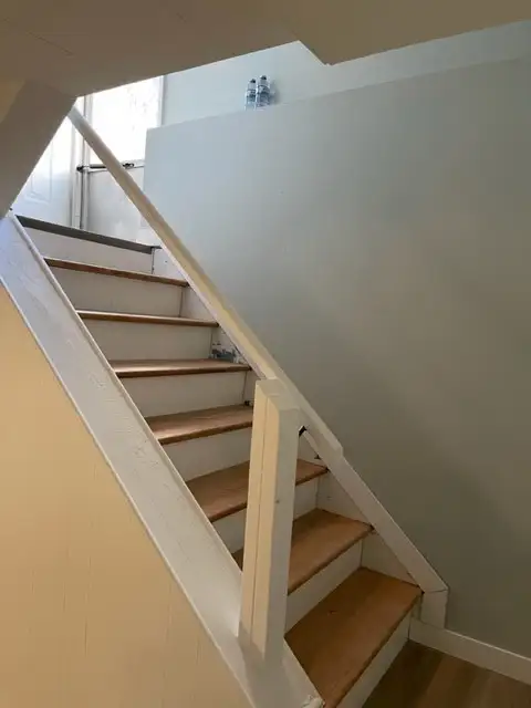 3 Beds Newly Reno'ved basement suite near southgate