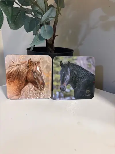 Horse Coasters, View more