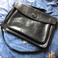Danier Leather Attache / Briefcase / Laptop Bag