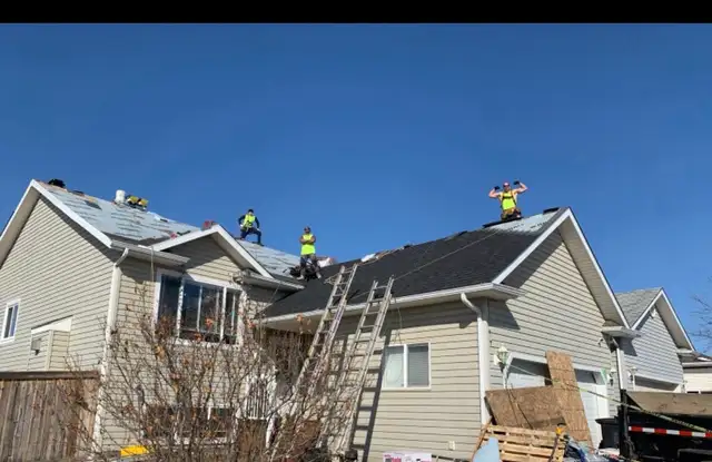 Professional Roofing Services479098259983585282