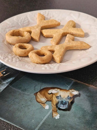 Dog X's & O's Cookies 