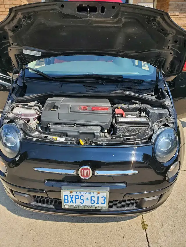 Fiat 500525767030698813447